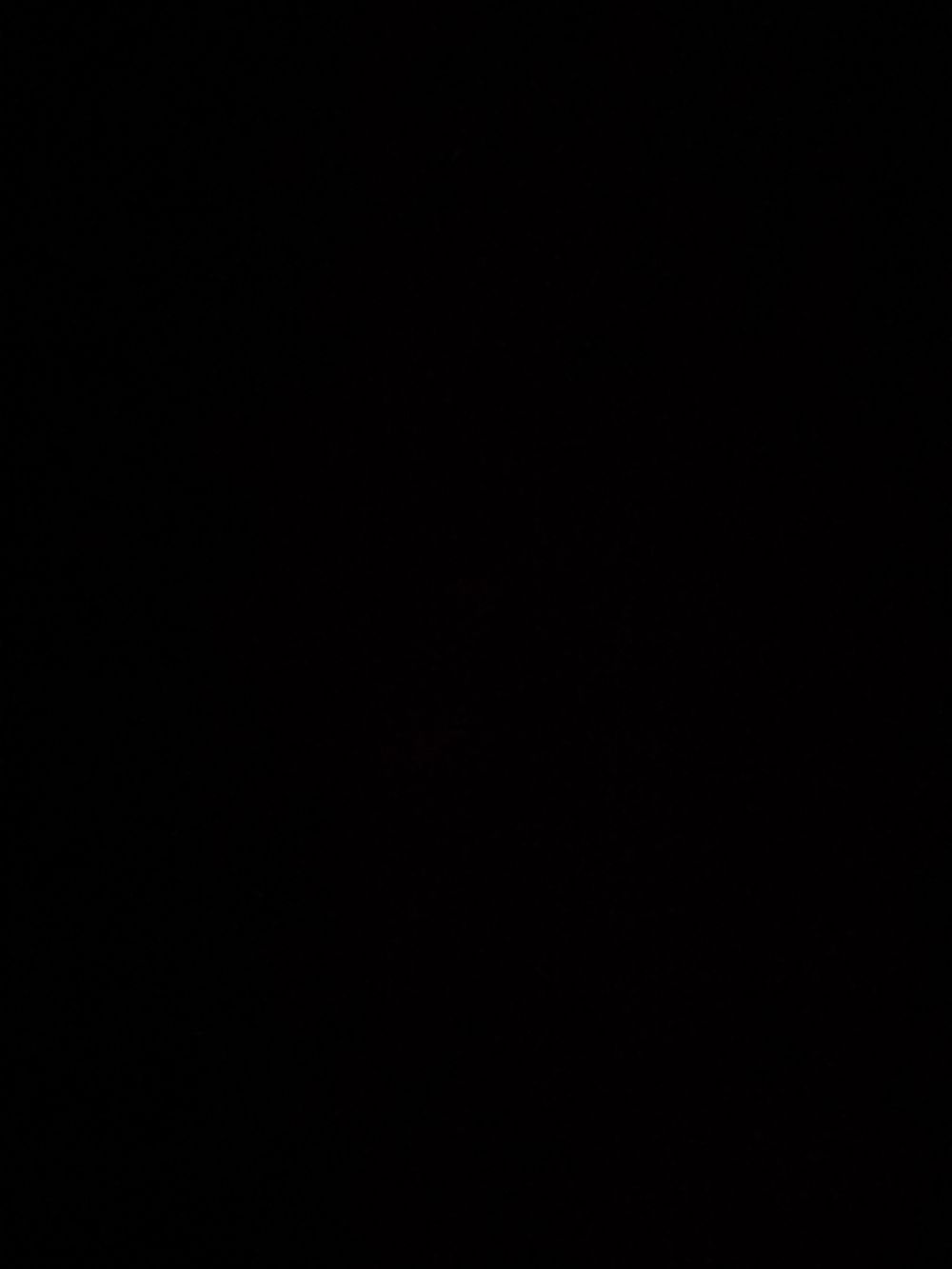 moona9819 OnlyFans profile picture