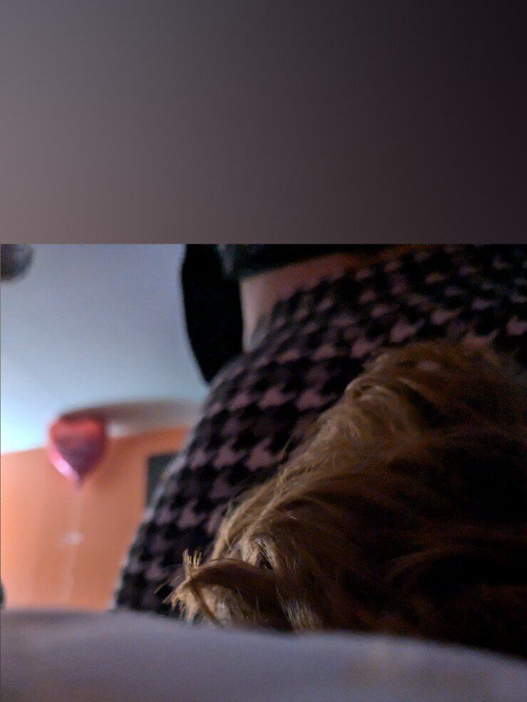 strawberrycushion OnlyFans profile picture