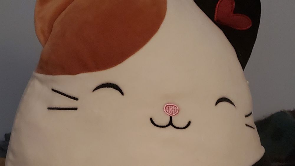 littlecaragirl OnlyFans profile picture