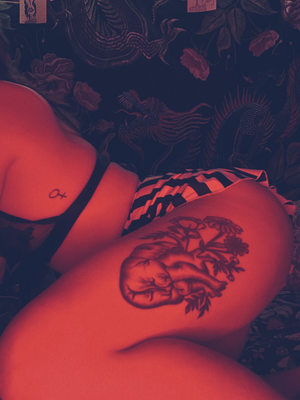 succulentscorpio OnlyFans profile picture