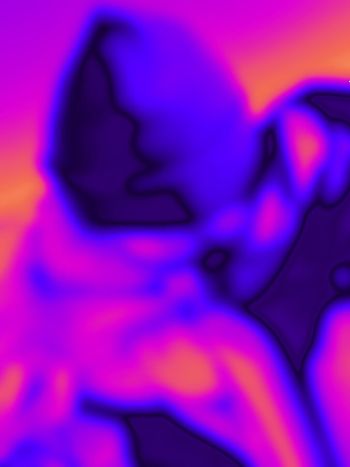 loversinshadows OnlyFans profile picture