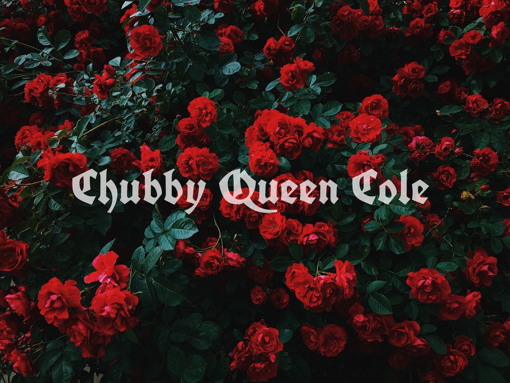 chubbyqueencole OnlyFans profile picture
