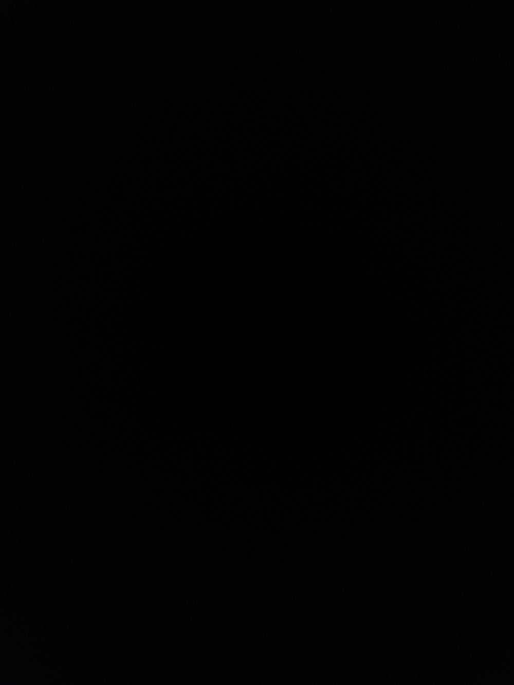 theonlychannel OnlyFans profile picture