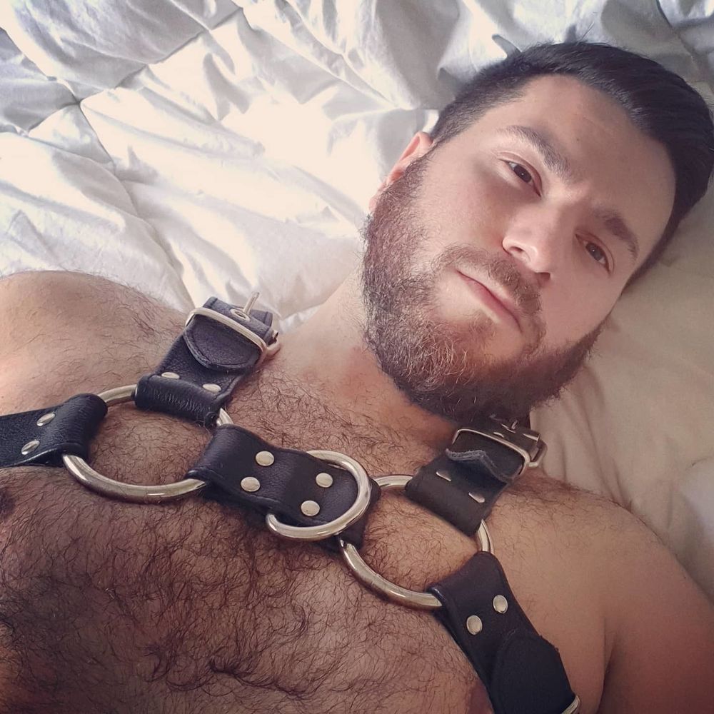 georgietheotter OnlyFans profile picture
