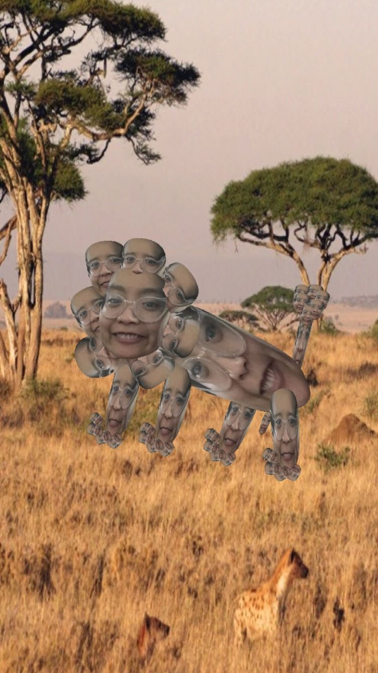 tintinichee OnlyFans profile picture
