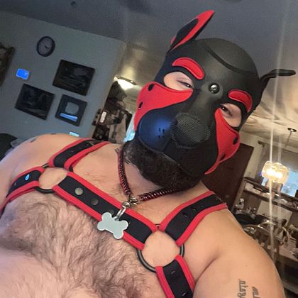 pupoakley0 OnlyFans picture