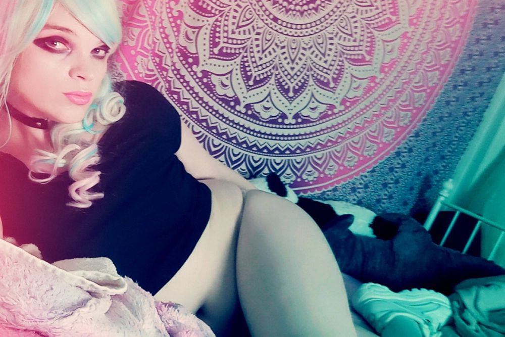 niatgirl OnlyFans profile picture