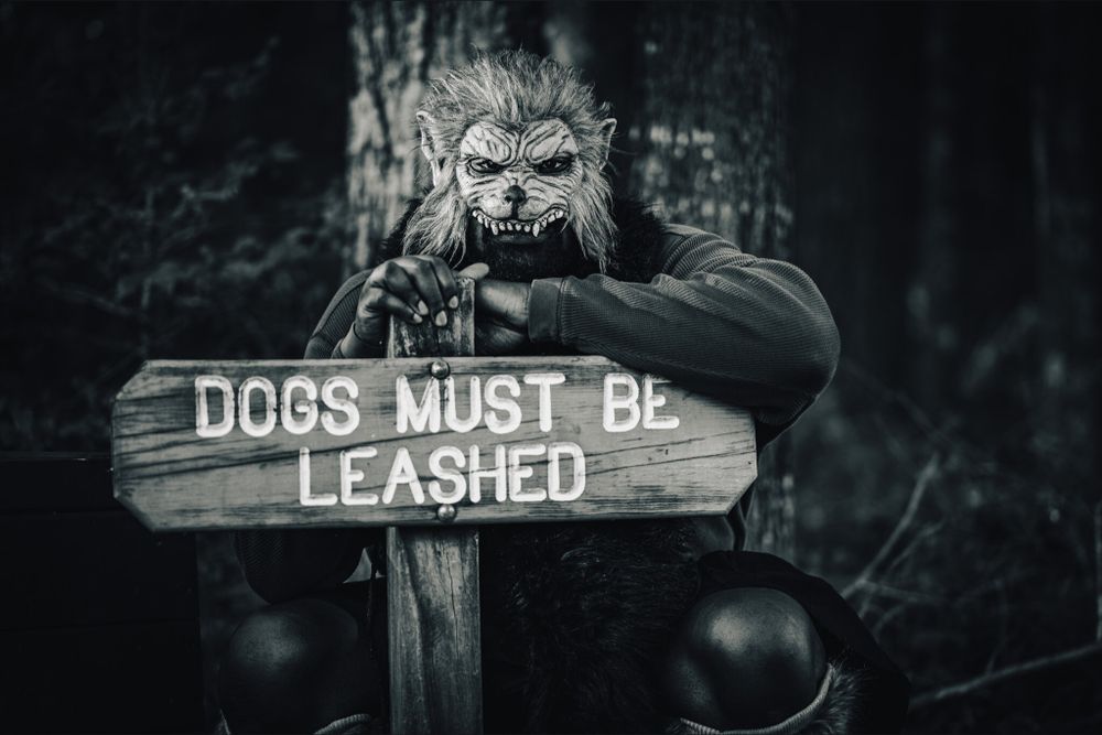 thedarkdirector OnlyFans profile picture