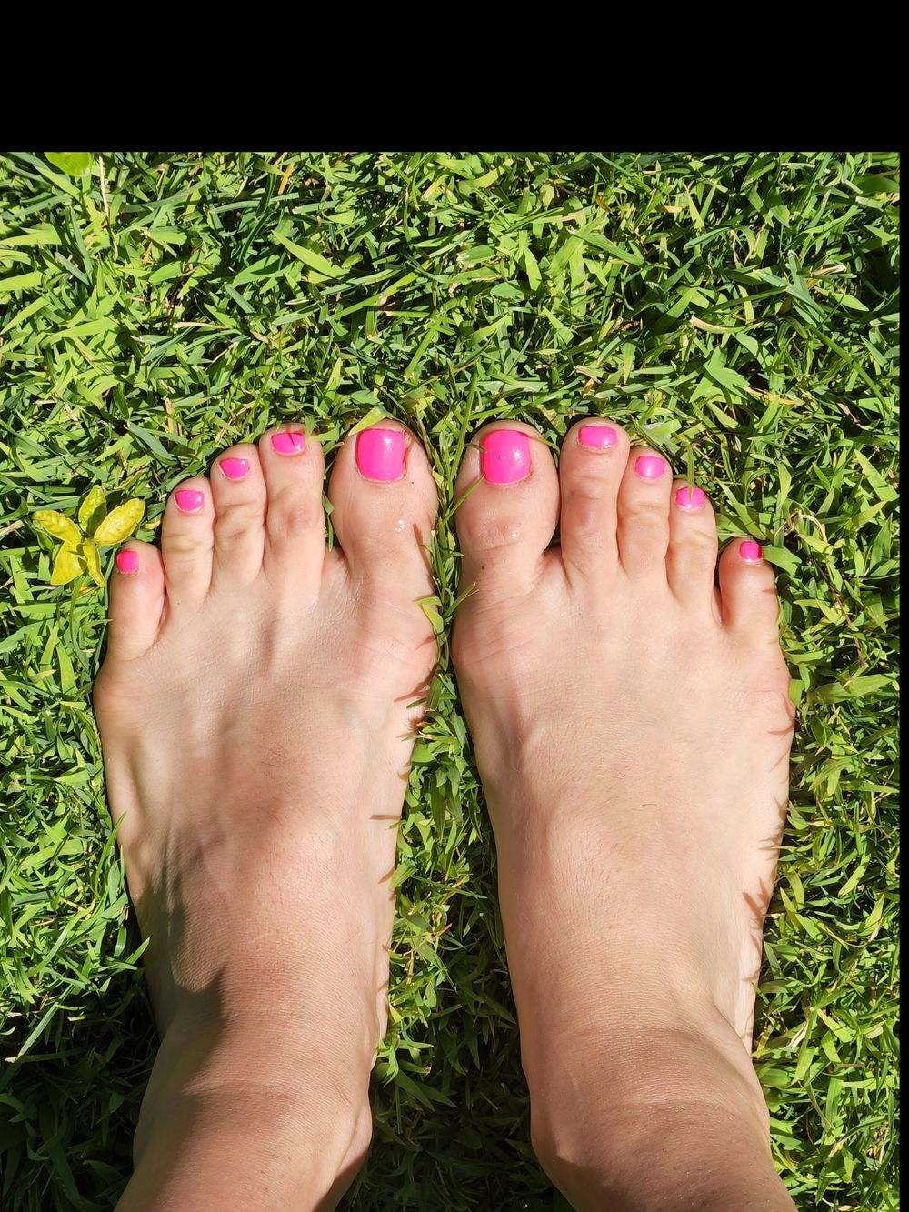 yummytoes17 OnlyFans profile picture