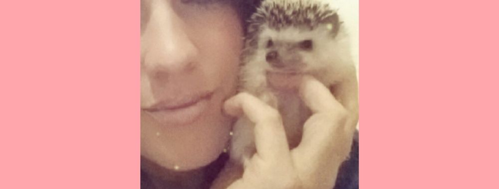 hedgehogbabe OnlyFans profile picture
