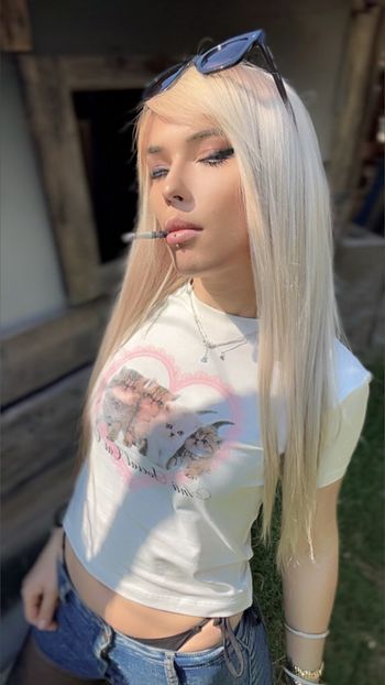 FairyVales Smoker