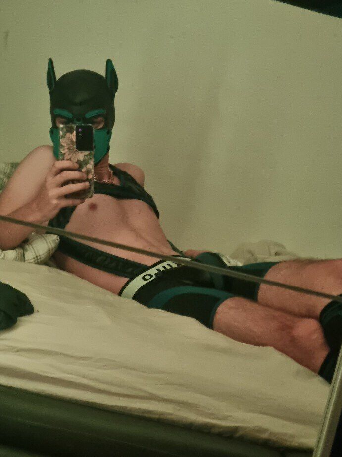 puphondi OnlyFans profile picture