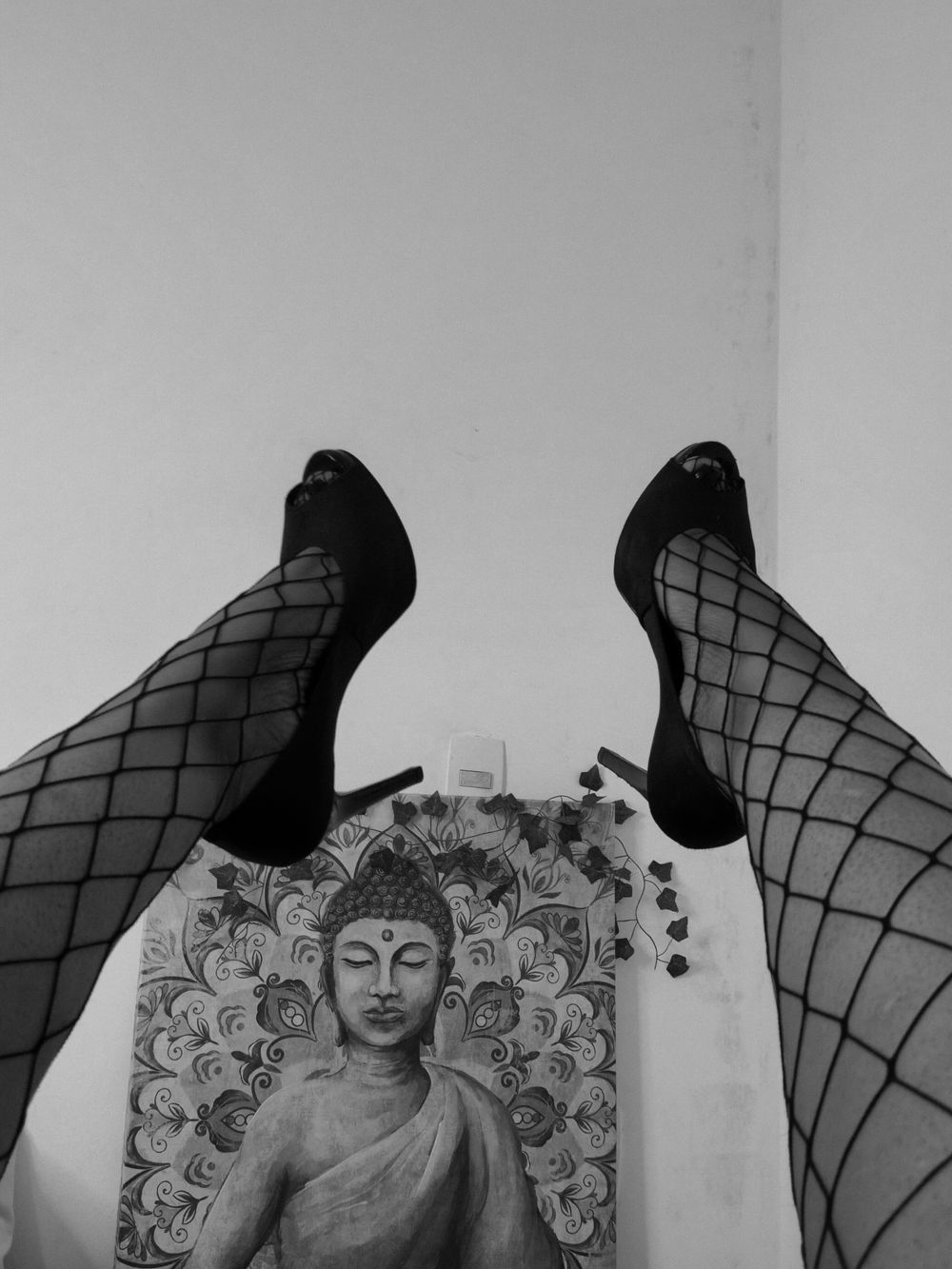 dandarafindomme OnlyFans profile picture