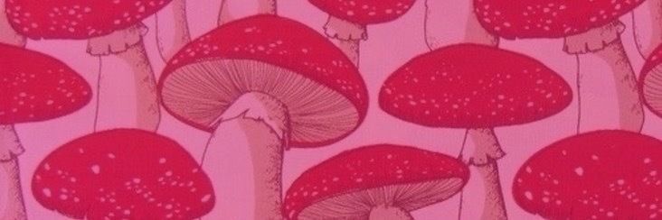 mushroom.goddess OnlyFans profile picture