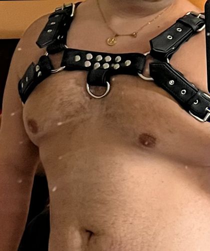 yonathebear1 OnlyFans picture