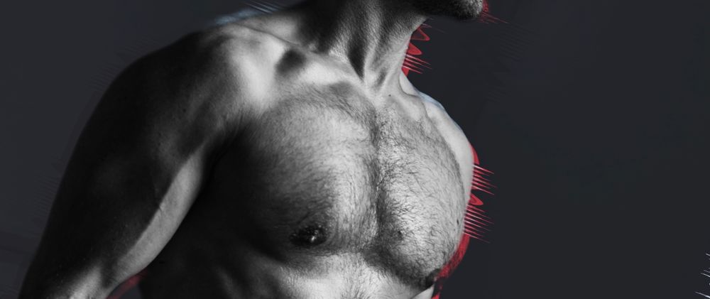 adamhungxxl OnlyFans profile picture