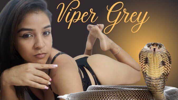 vipergrey OnlyFans profile picture