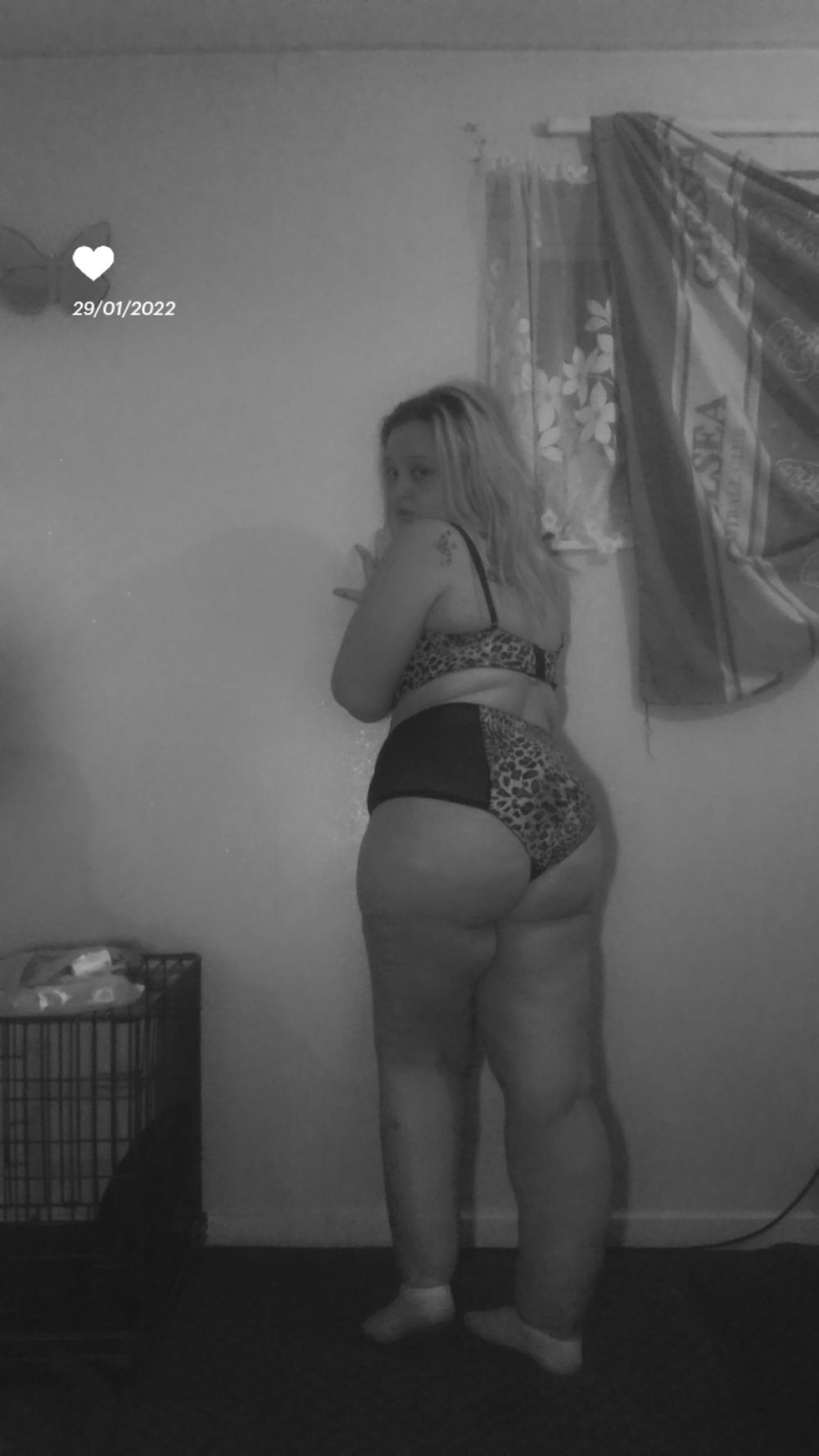 stephanie94w OnlyFans profile picture