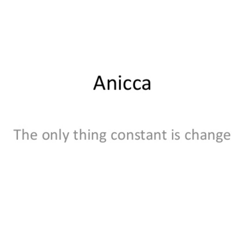 anicca84 OnlyFans profile picture