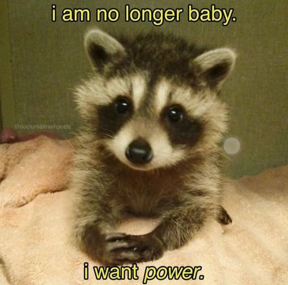 theottercub OnlyFans profile picture