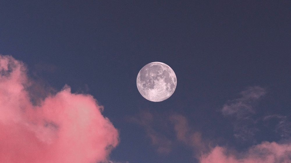 moonlightborne OnlyFans profile picture