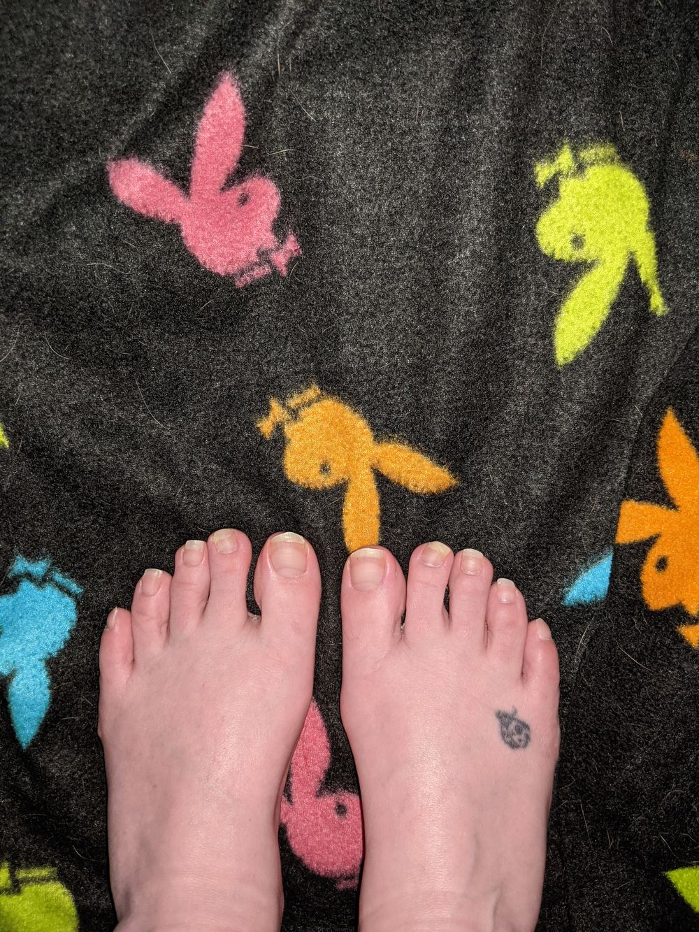 bunnygrl333 OnlyFans profile picture