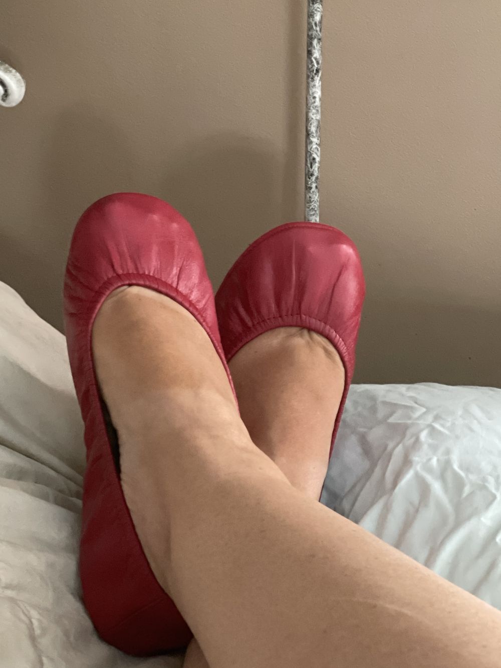 u169278716 OnlyFans profile picture