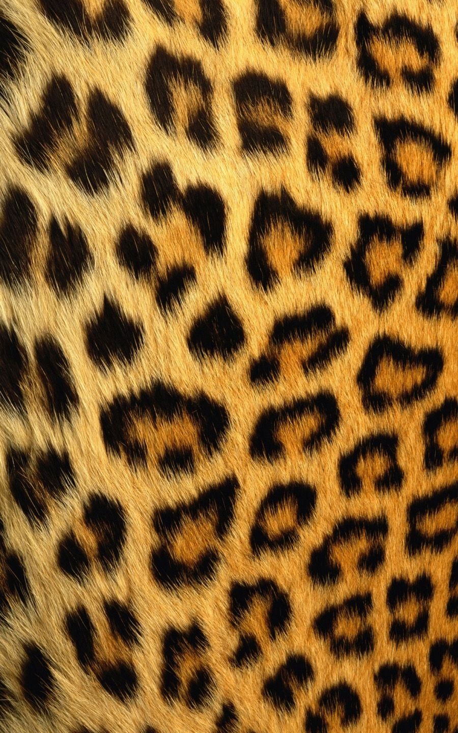 missfayelouise OnlyFans profile picture