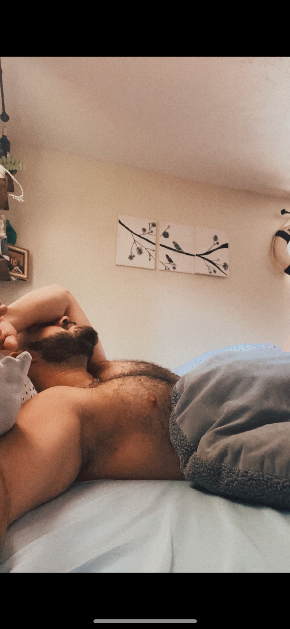 roccojr1995 OnlyFans profile picture