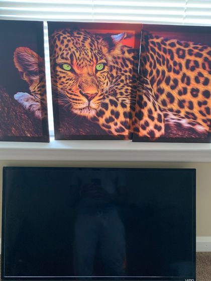 cheetahprintking OnlyFans picture