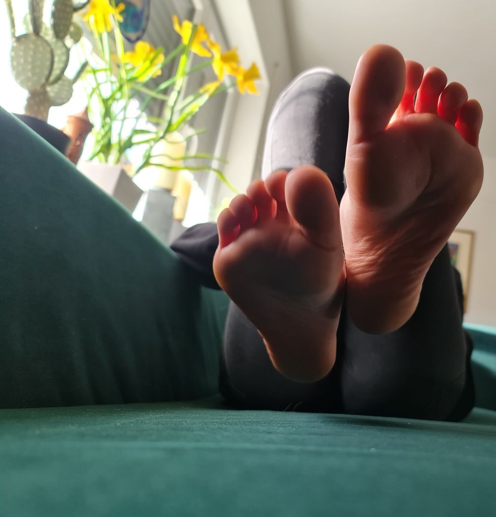 zahraquinnoffical OnlyFans profile picture