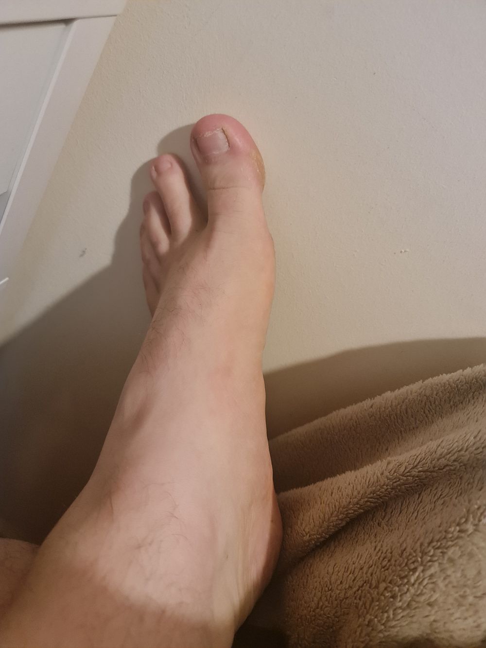 bearfoot5452 OnlyFans profile picture