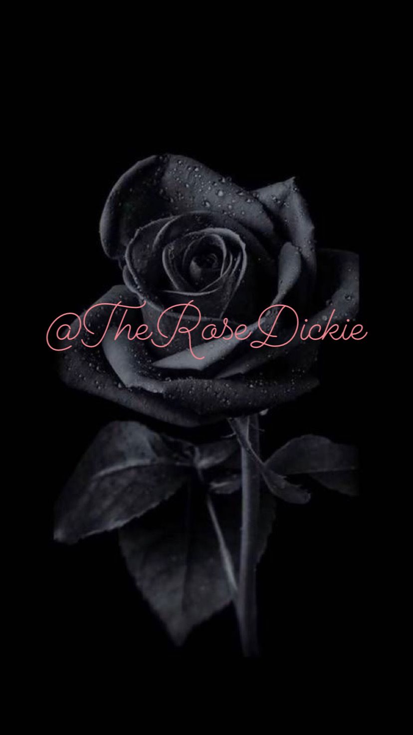 therosedickie OnlyFans profile picture