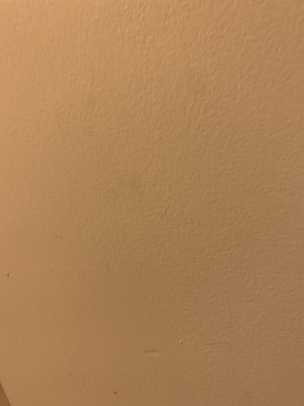 thicchispanic OnlyFans profile picture