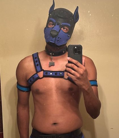 pup_ember OnlyFans picture