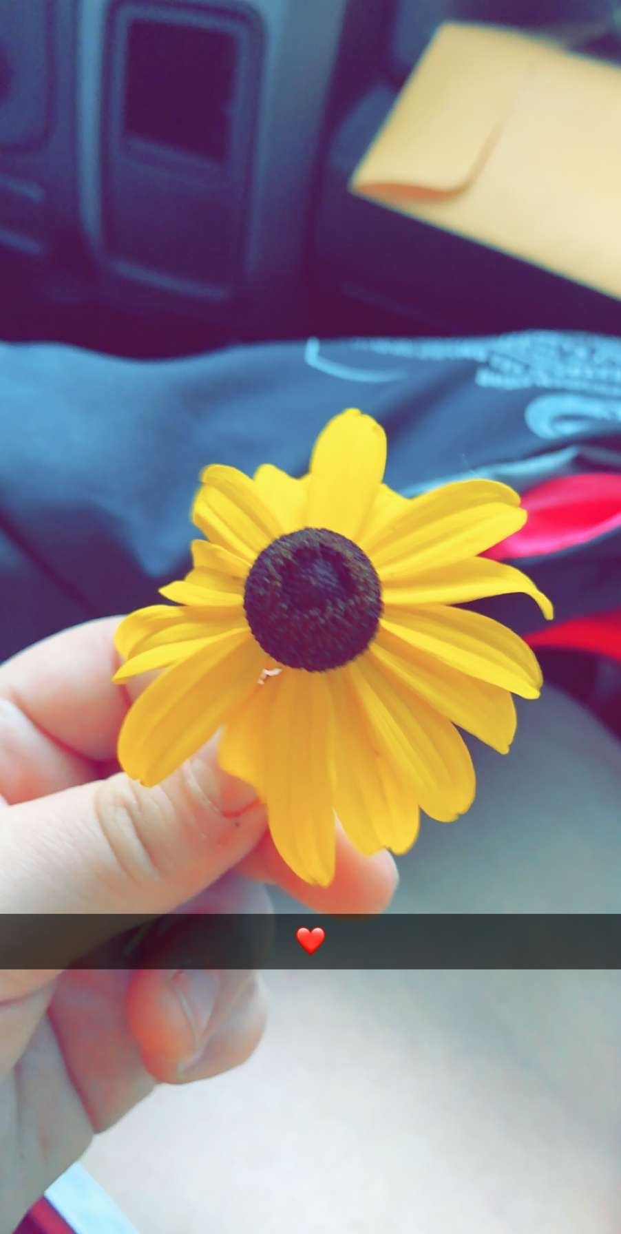victorialovies OnlyFans profile picture
