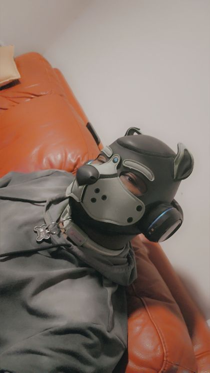 pup_timaeus OnlyFans picture
