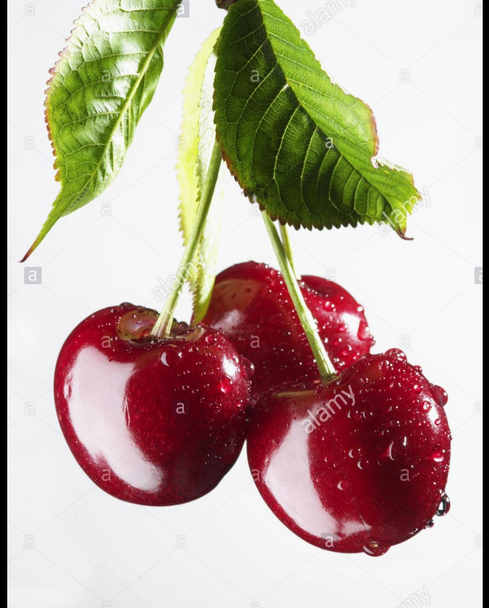 mariisyummy OnlyFans profile picture