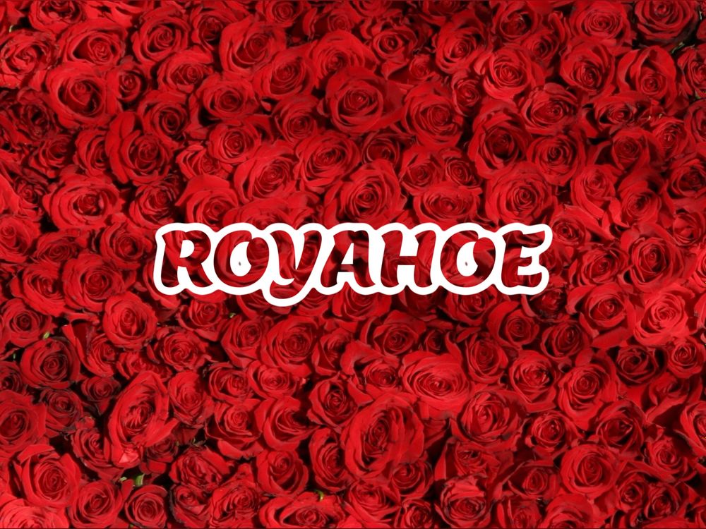 royahoe OnlyFans profile picture