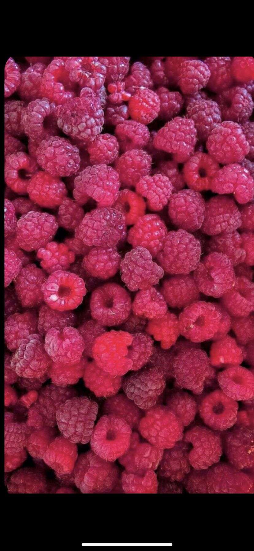 whiteglittermist OnlyFans profile picture