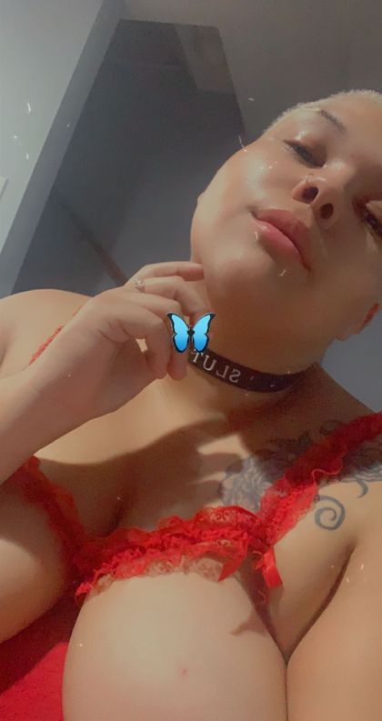 ashlynngirl OnlyFans picture