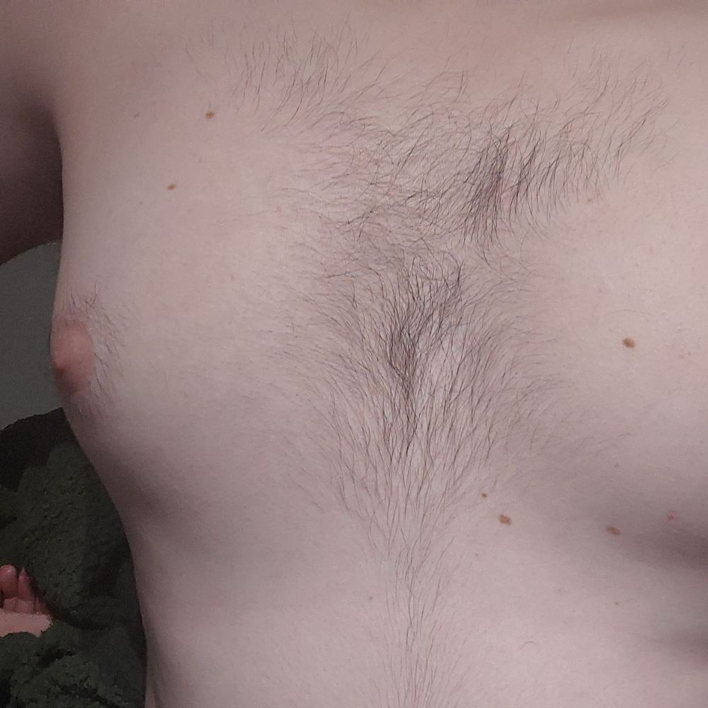 elcattoxl OnlyFans profile picture