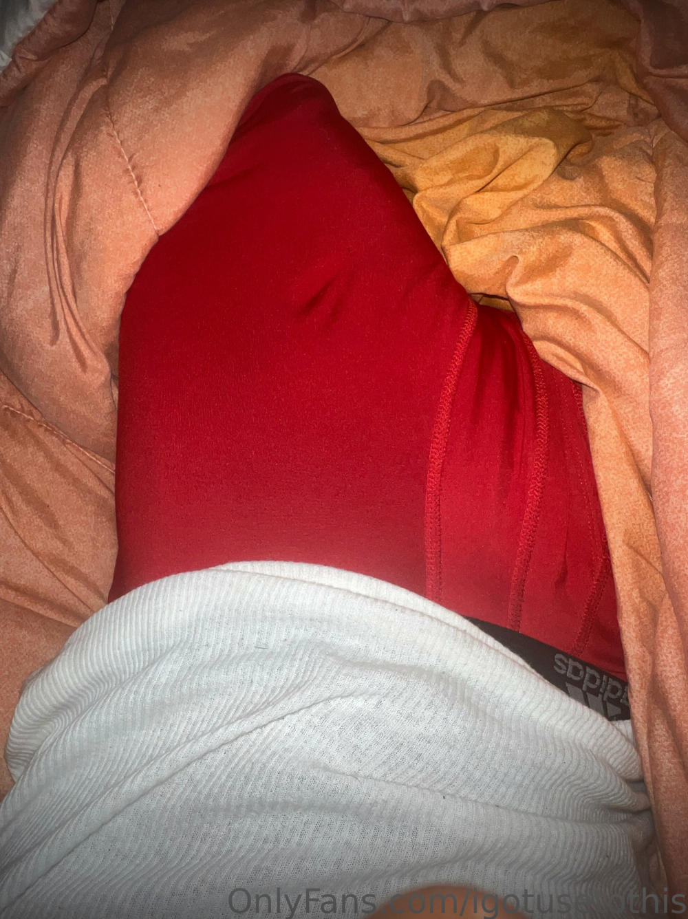 imhungd OnlyFans profile picture