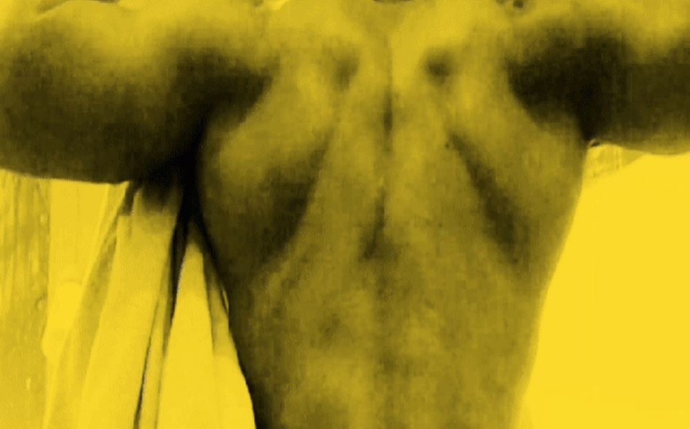 goldenpegasuswings OnlyFans profile picture