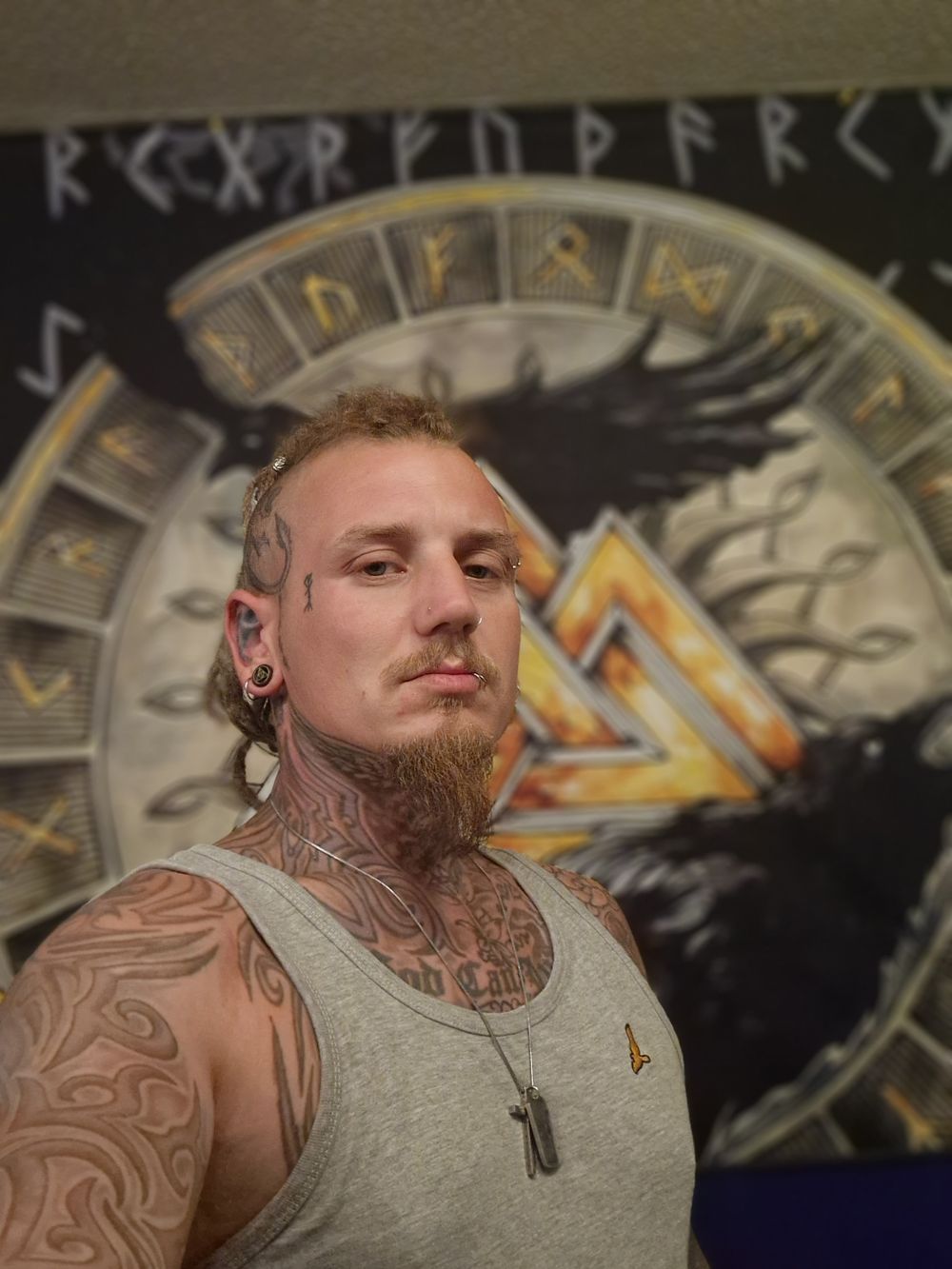 vikinginked OnlyFans profile picture