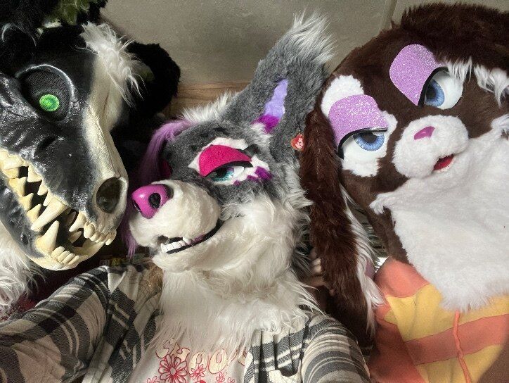 raynebowpaws OnlyFans profile picture