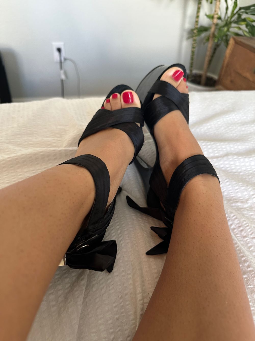asiandreams3338 OnlyFans profile picture