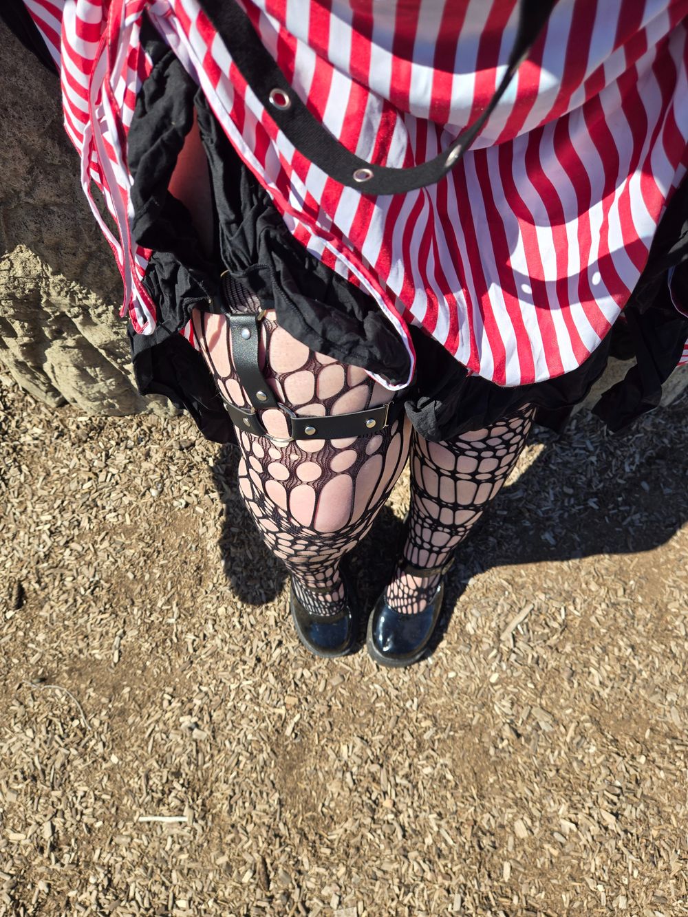feralgothmommy OnlyFans profile picture