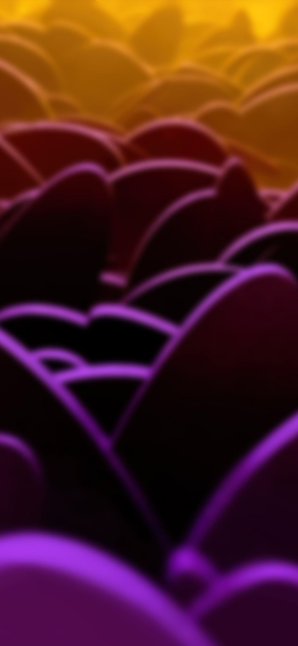 heyimmirr OnlyFans profile picture