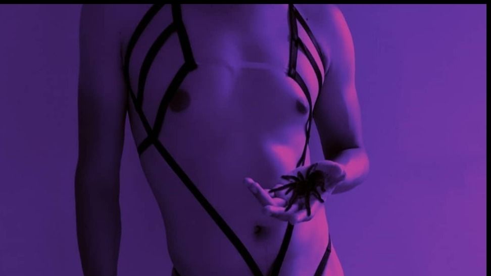 gavoxxder OnlyFans profile picture